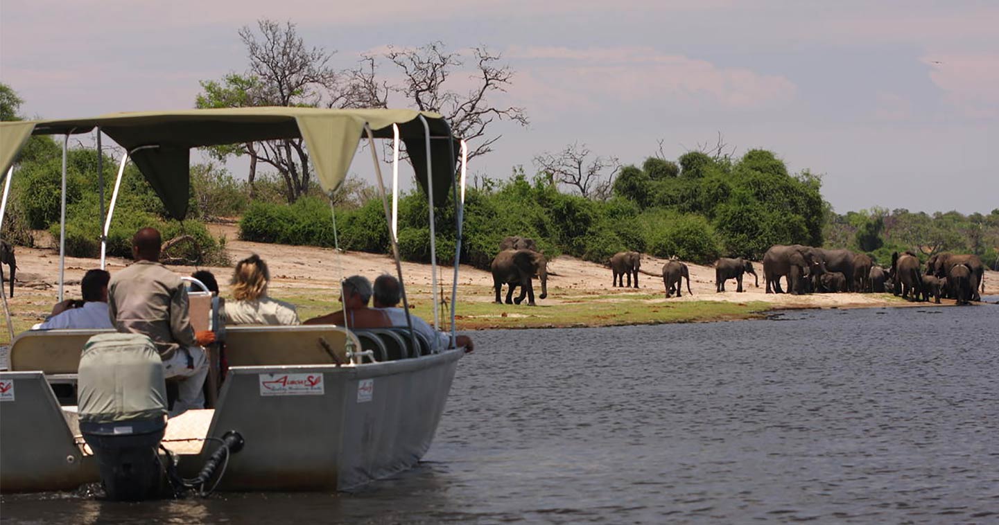 Chobe River cruise at Elephant Valley in Botswana