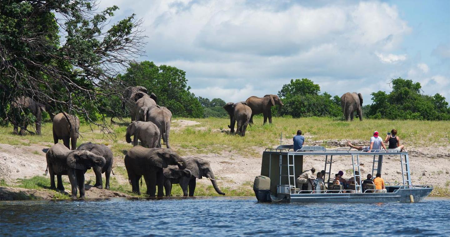 Zambezi Queen Boat Cruise In Chobe National Park Luxury River Cruise